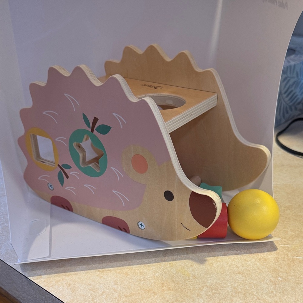 Wooden Hedgehog Shape Sorter Toy